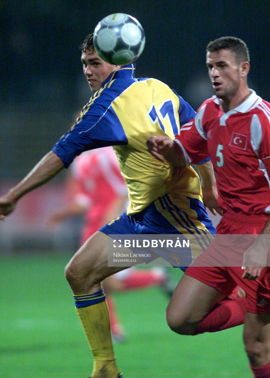 Johan Elmander, Sverige