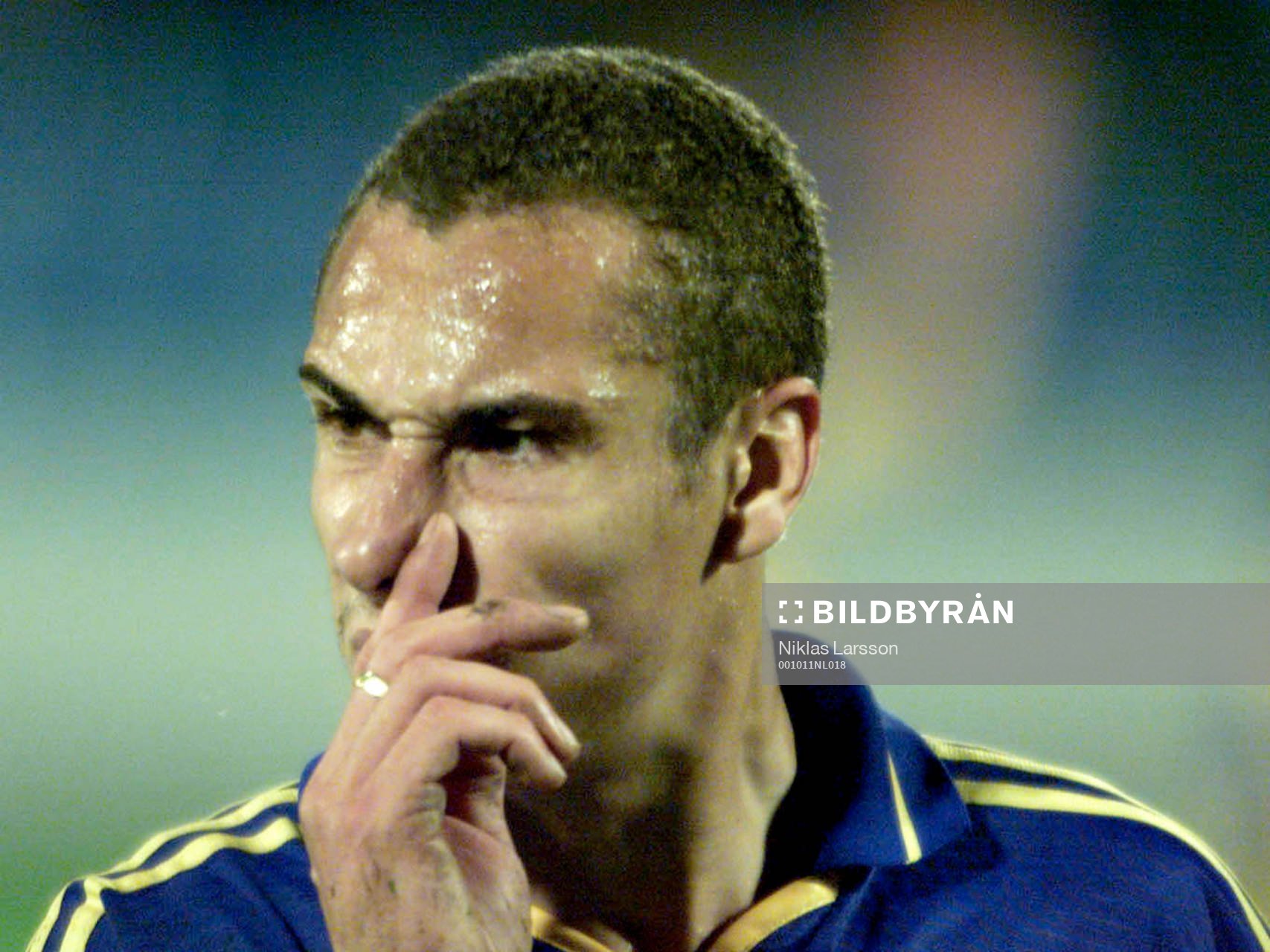 Henrik Larsson, Sverige