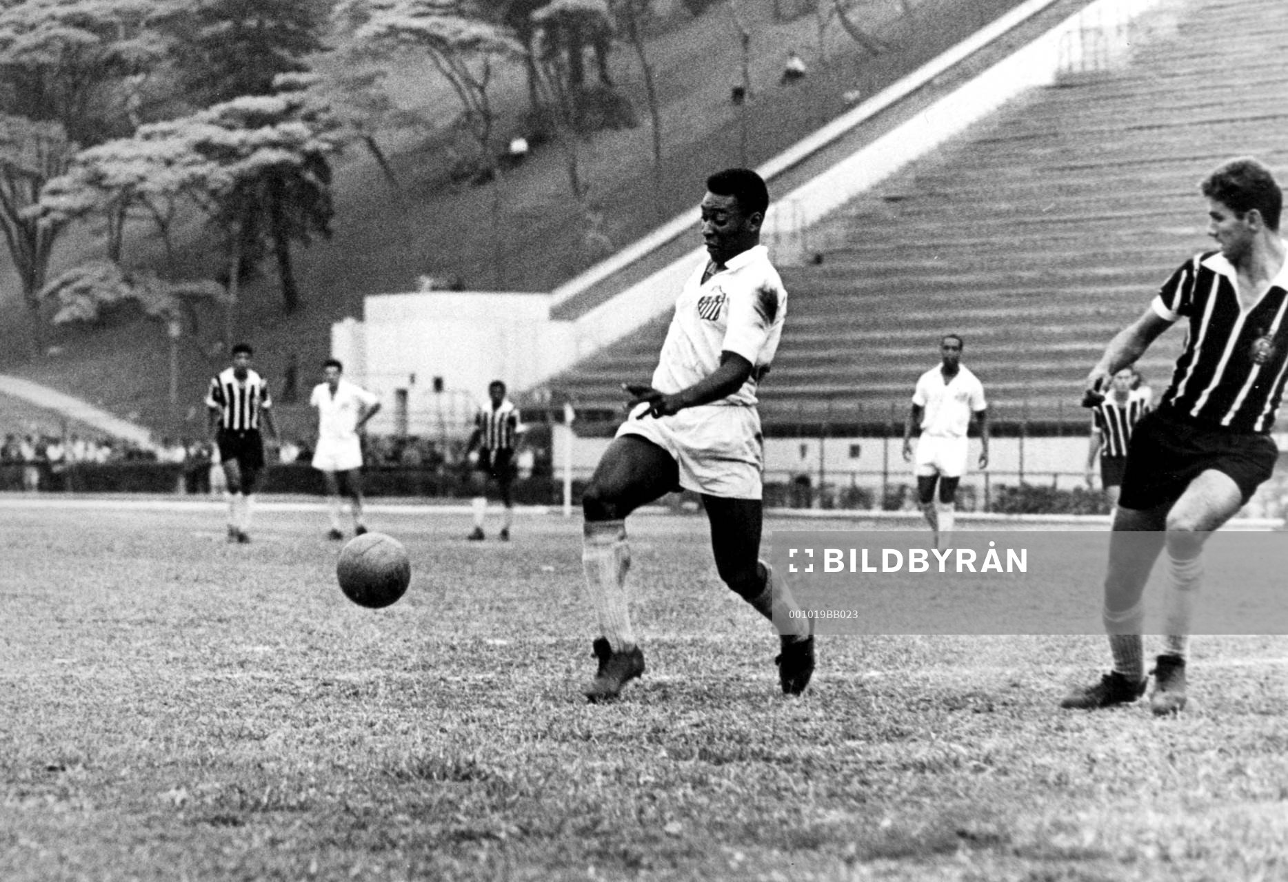 Pelé, Santos