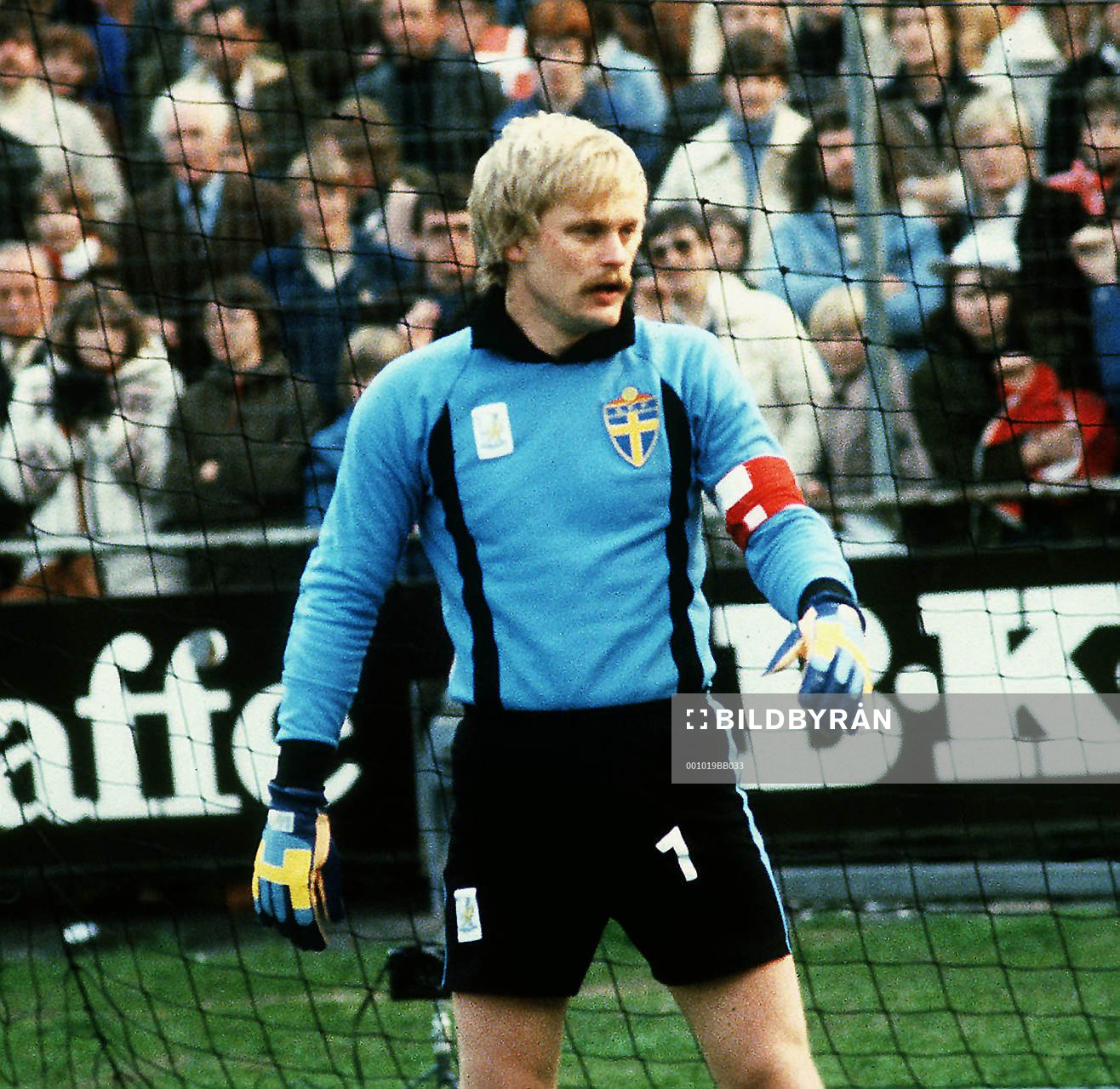 Ronnie Hellström, Sverige