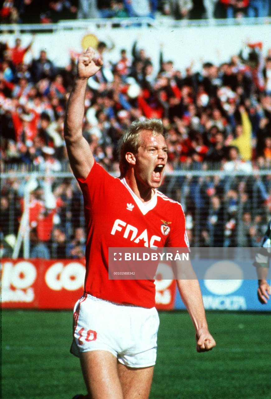 Mats Magnusson, Benfica