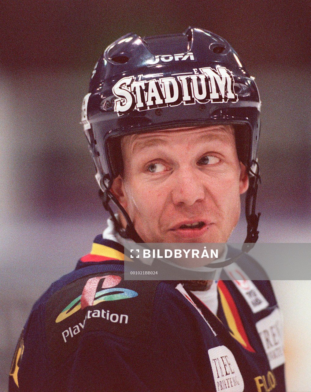 Charles Berglund, Djurgården