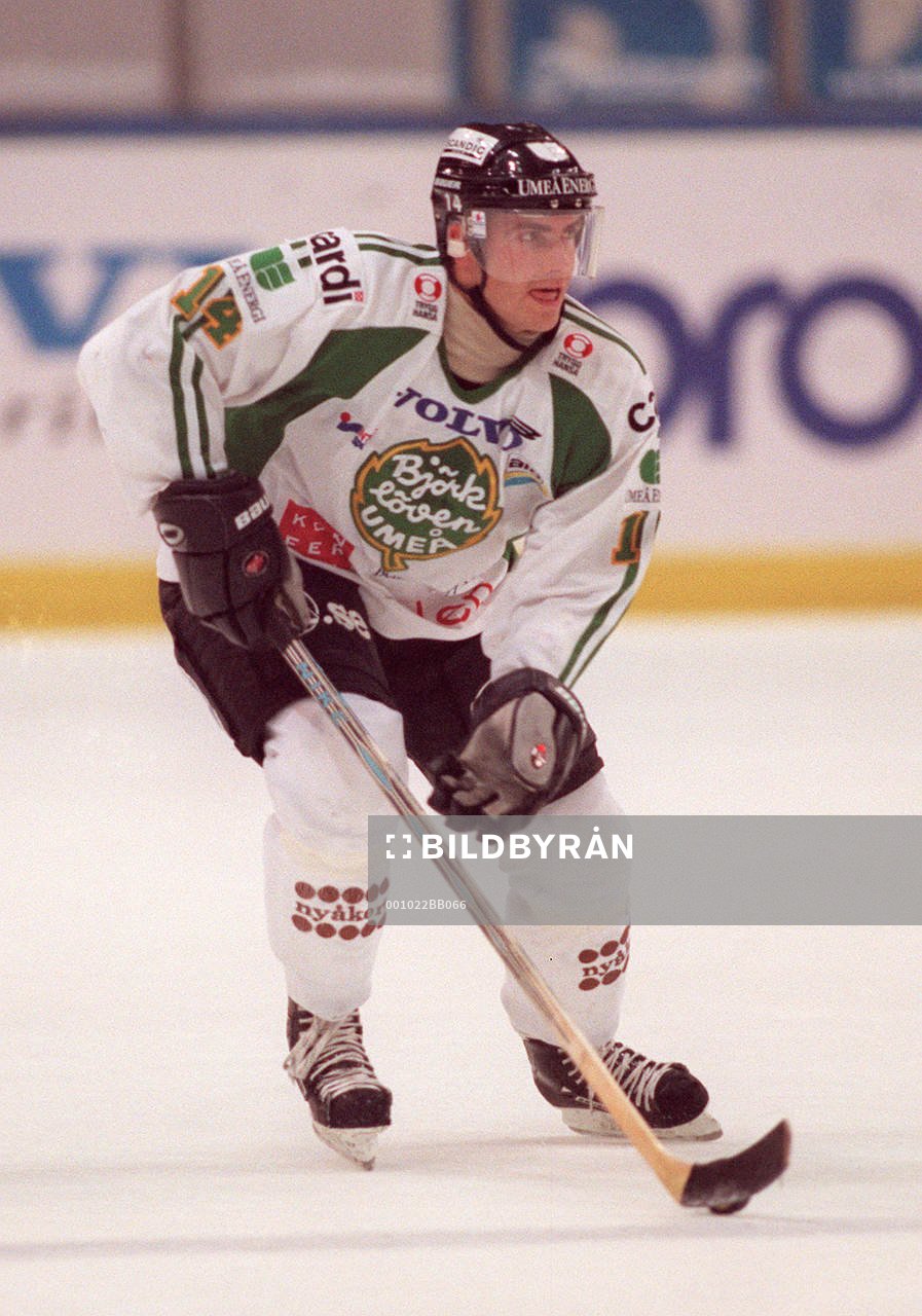 Jörgen Hermansson, Björklöven