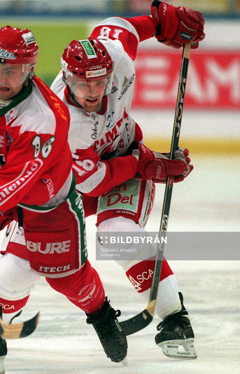 Timo Peltomaa, Timrå