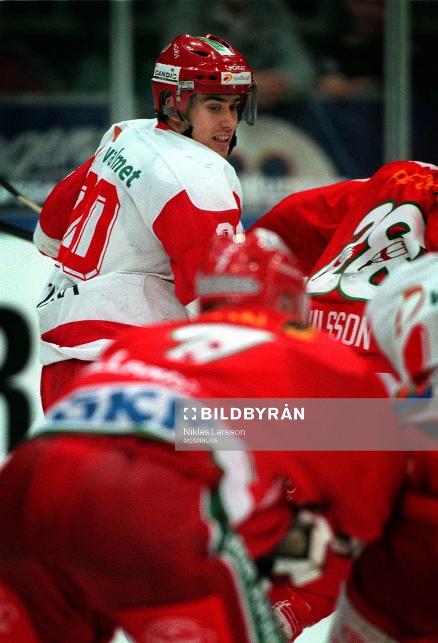 Henrik Zetterberg, Timrå