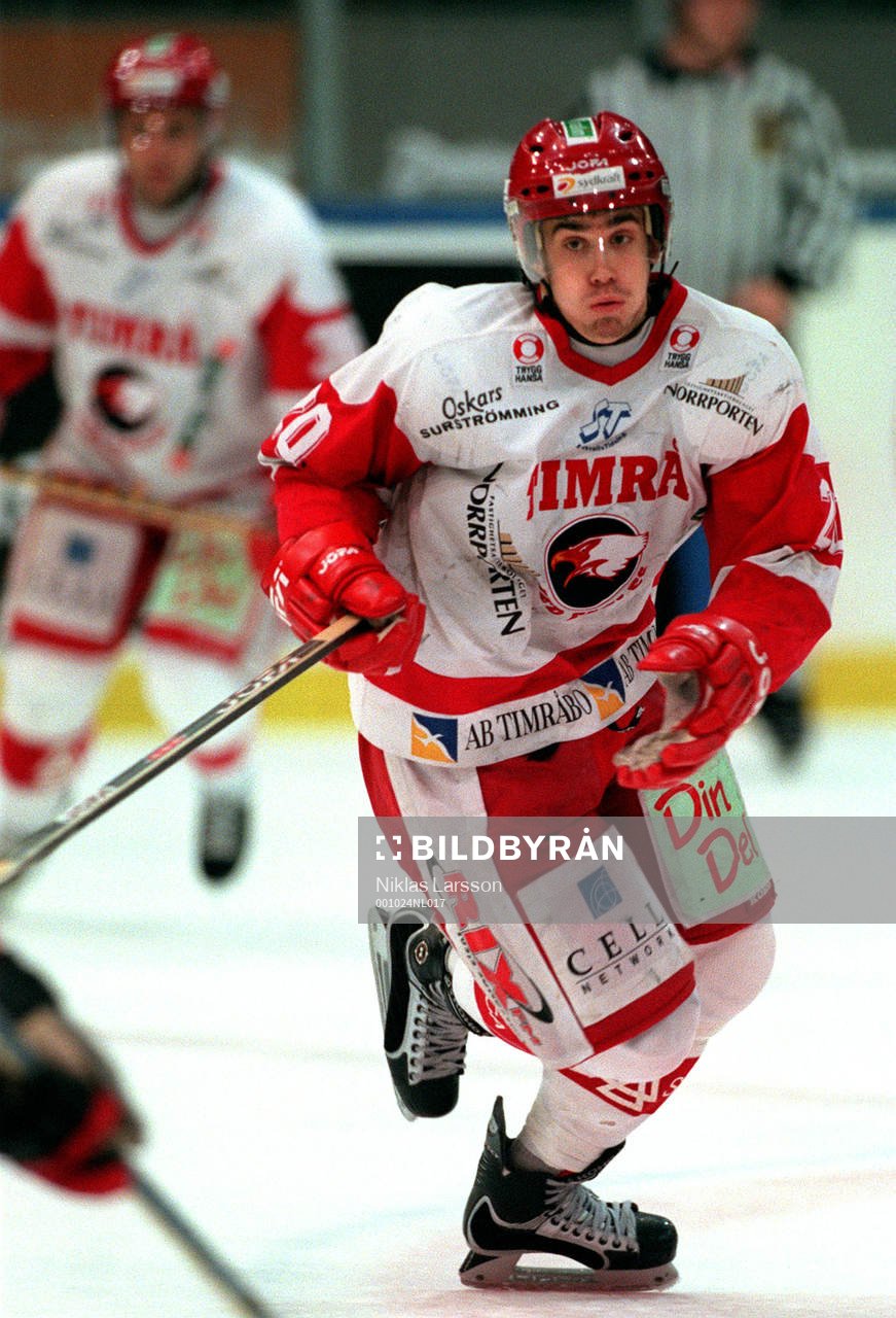Henrik Zetterberg, Timrå