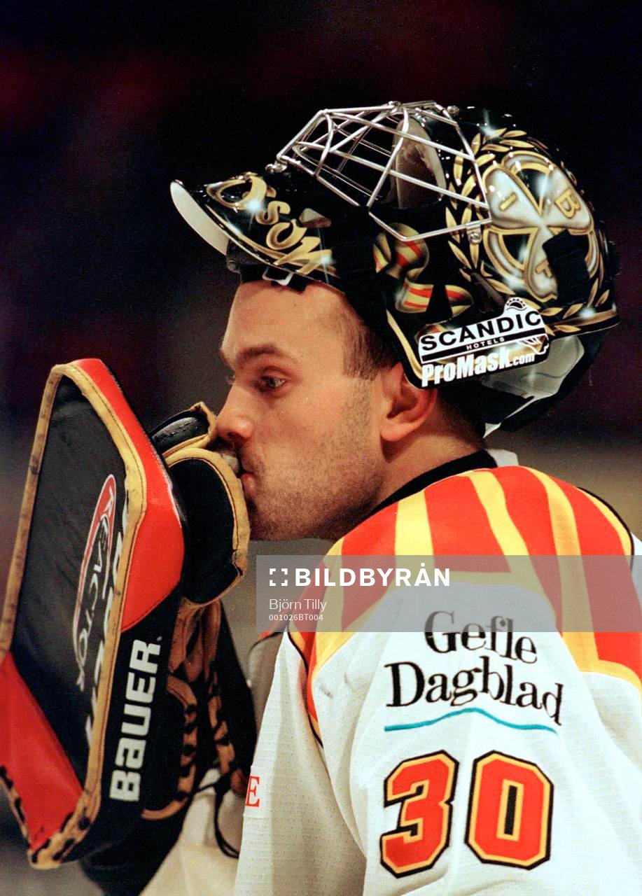 Mattias Pettersson, Brynäs