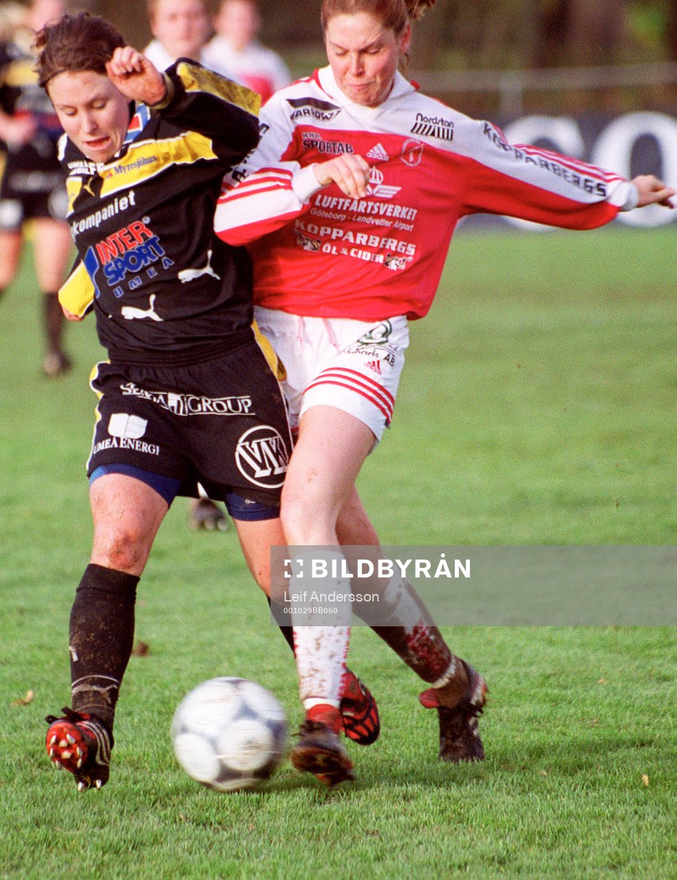 Hanna Ljungberg, Umeå