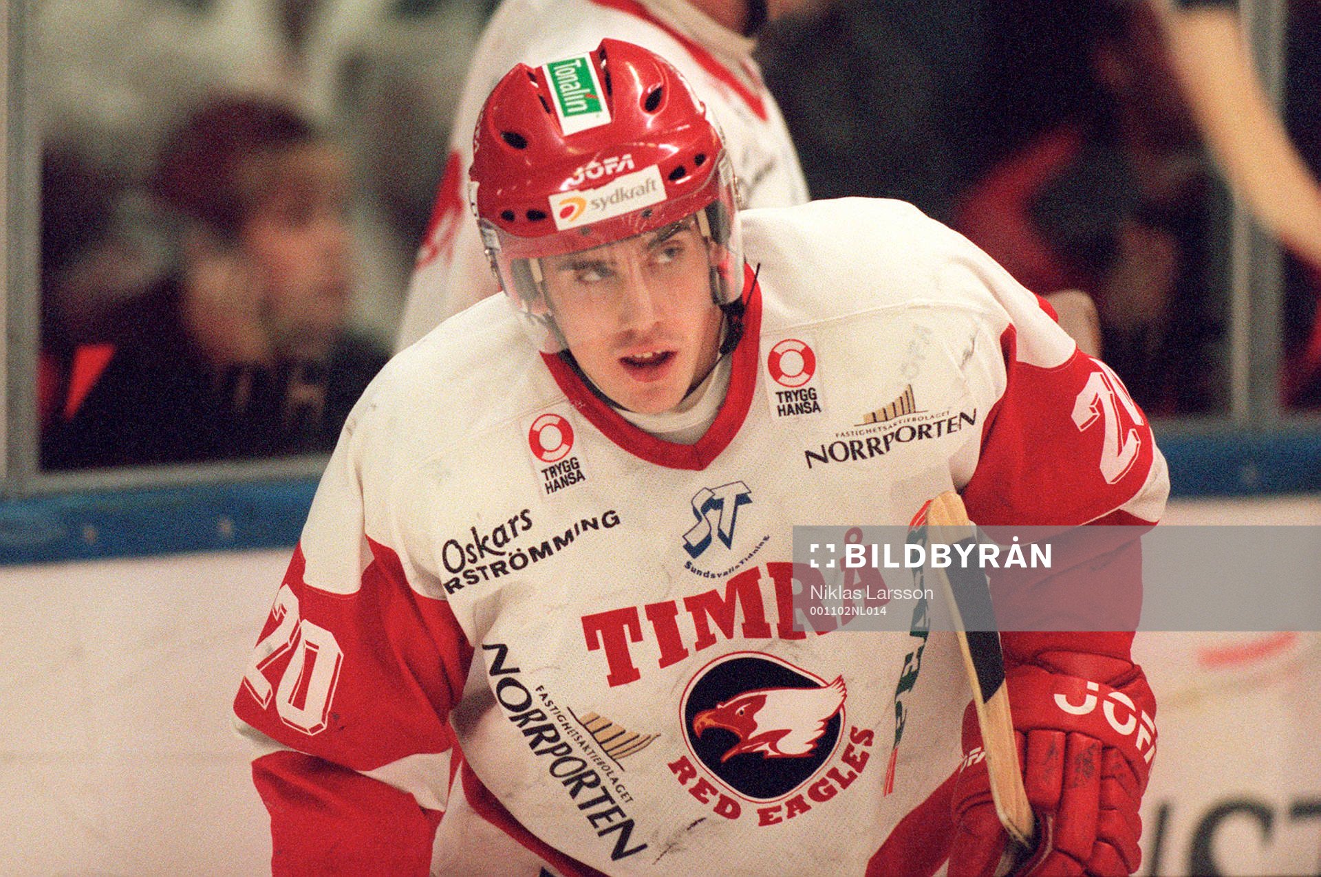 Henrik Zetterberg, Timrå