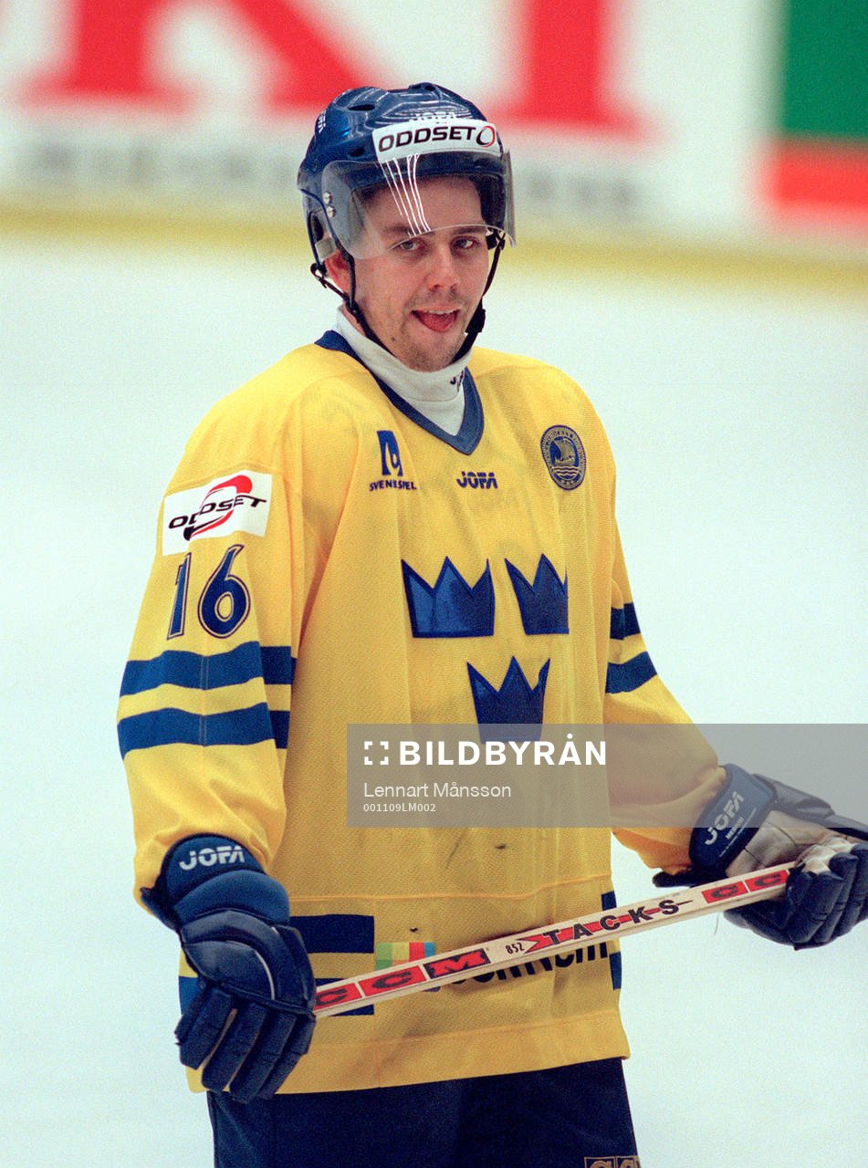 Nichlas Falk, Sverige