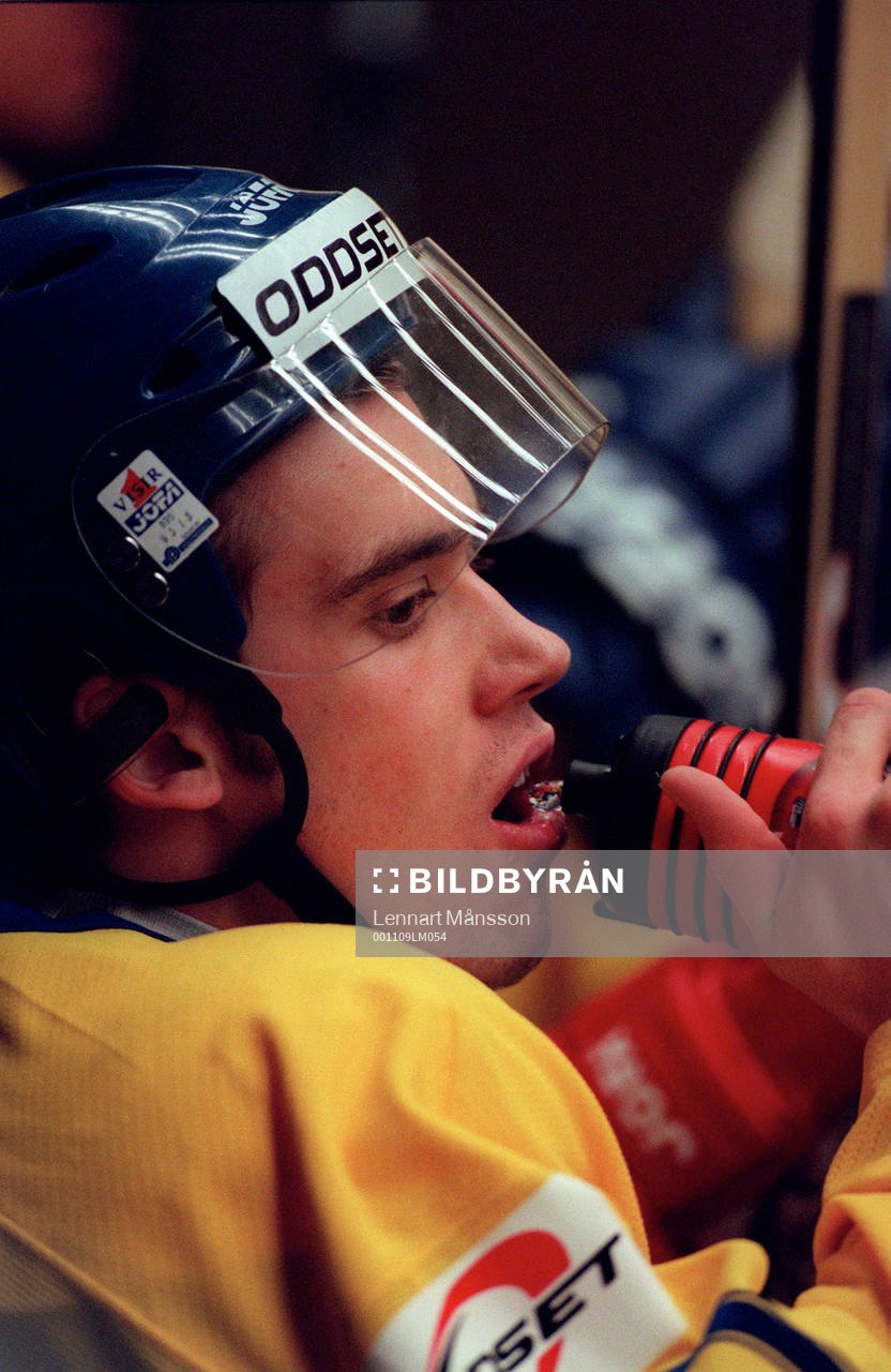 Henrik Zetterberg, Sverige