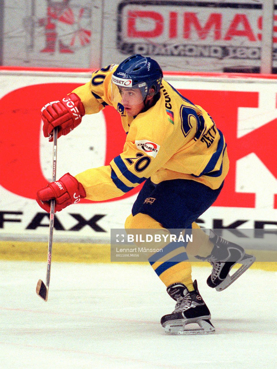 Henrik Zetterberg, Sverige