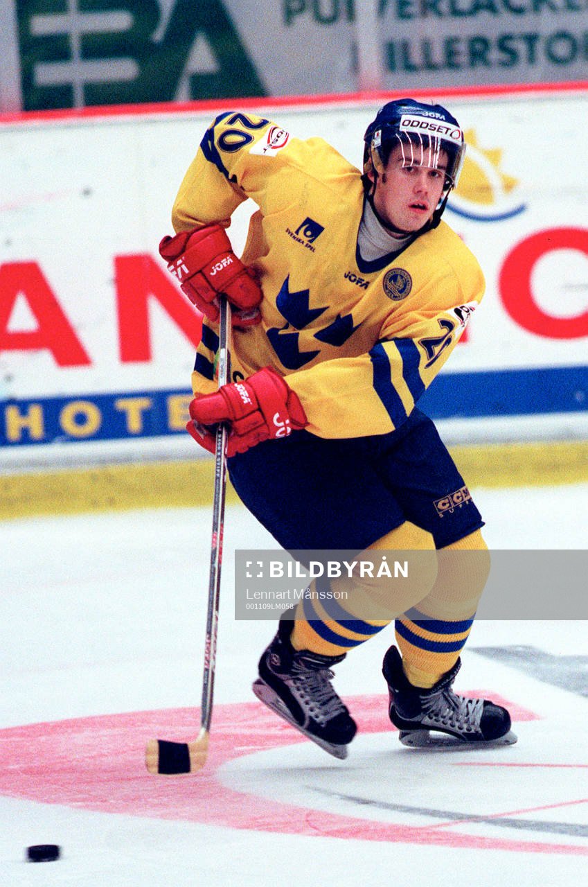 Henrik Zetterberg, Sverige