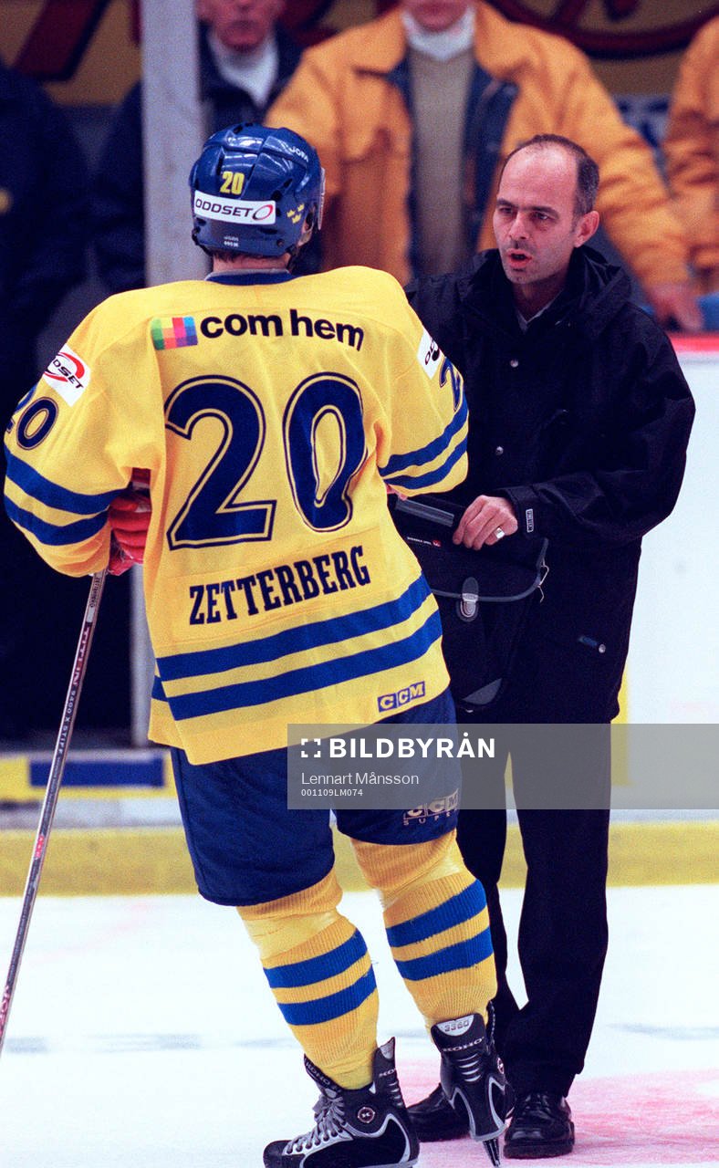 Henrik Zetterberg, Sverige