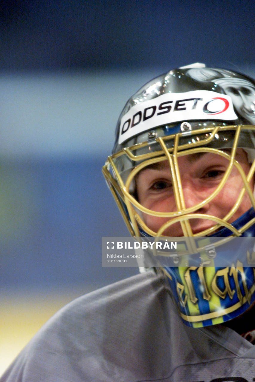 Mikael Tellqvist, Sverige