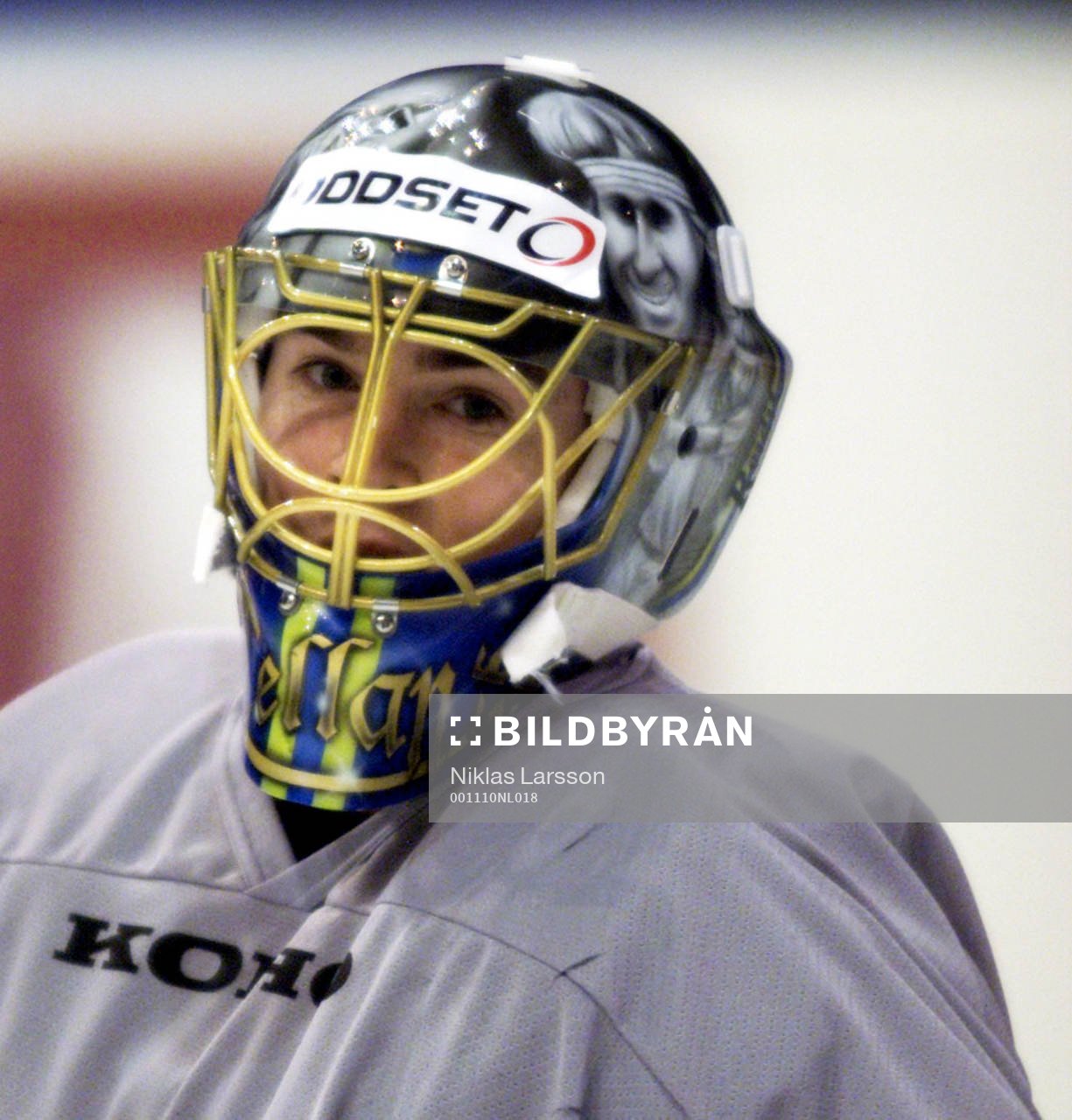 Mikael Tellqvist, Sverige