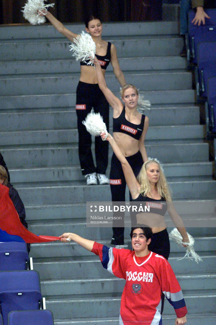 Cheerleaders (Cheerleader, fan, supporter)