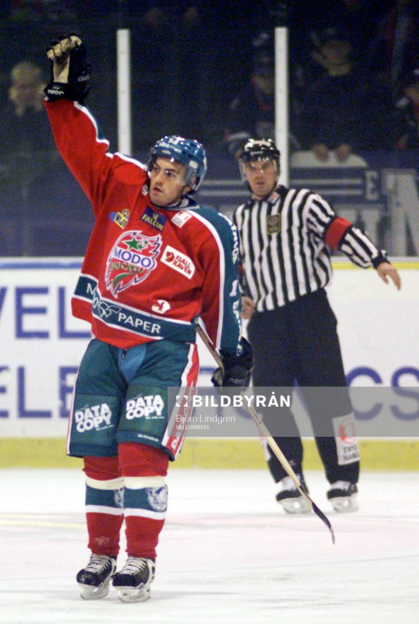 Peter Högardh, Modo (jubel)