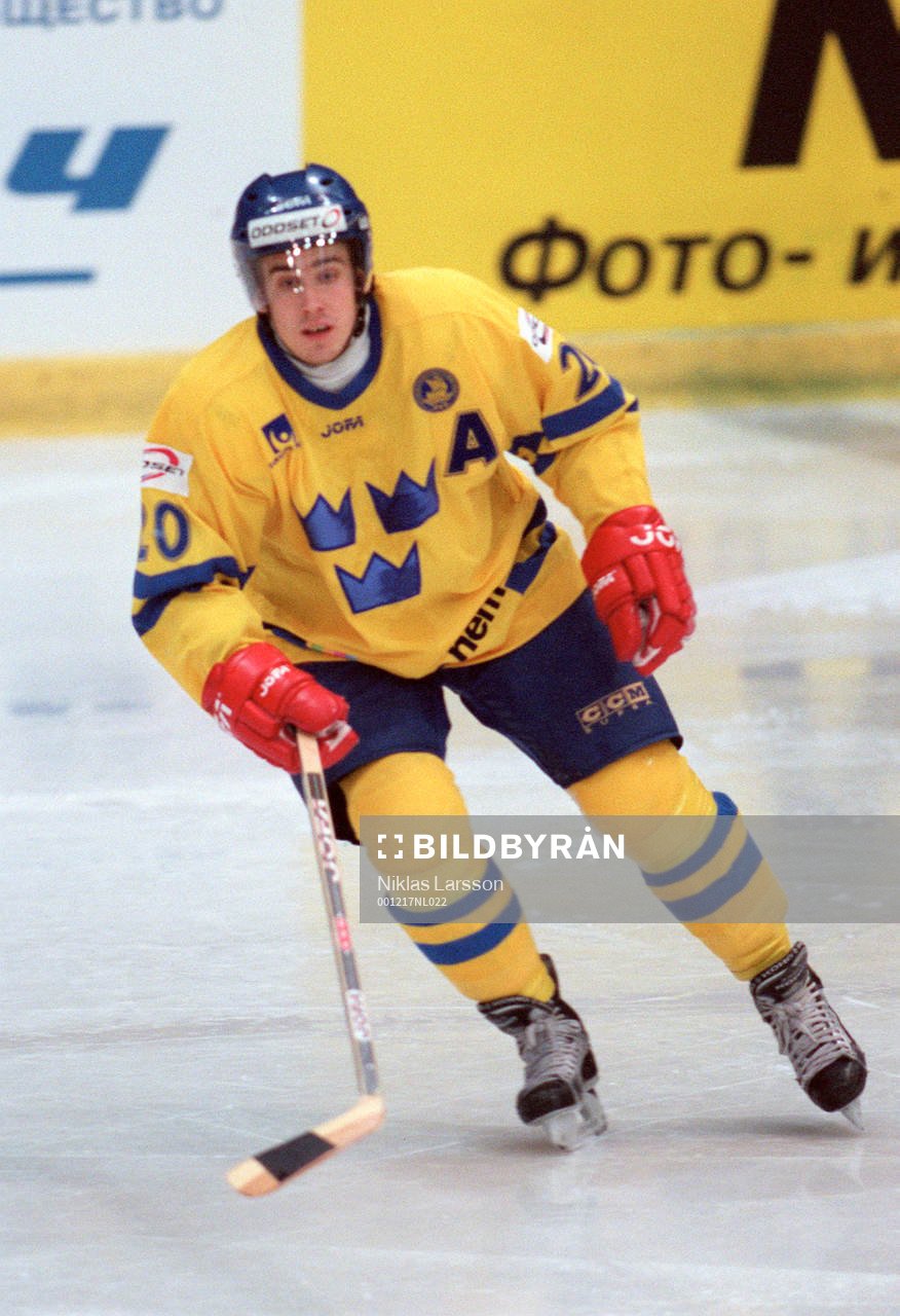Henrik Zetterberg, Sverige