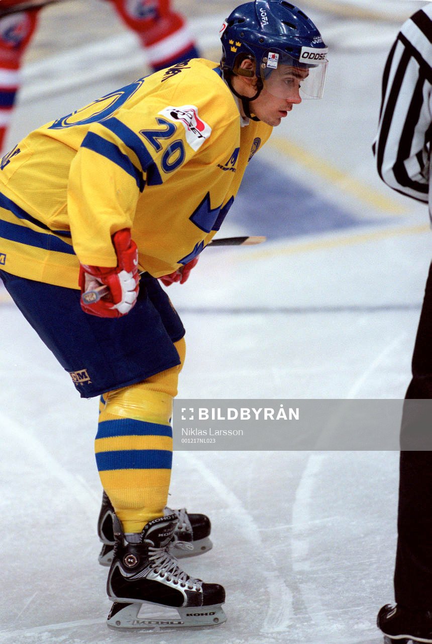 Henrik Zetterberg, Sverige