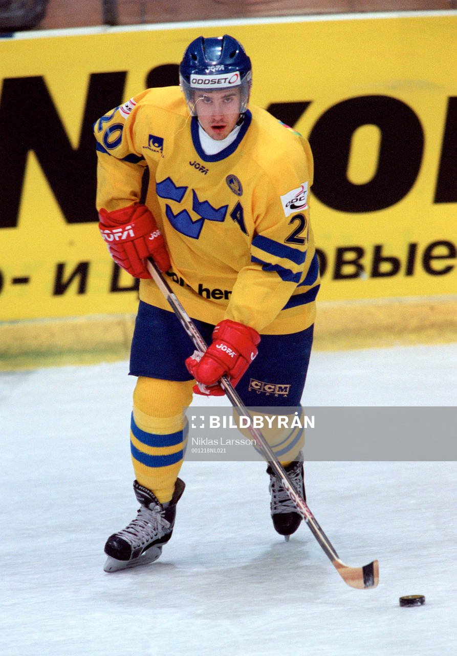 Henrik Zetterberg, Sverige
