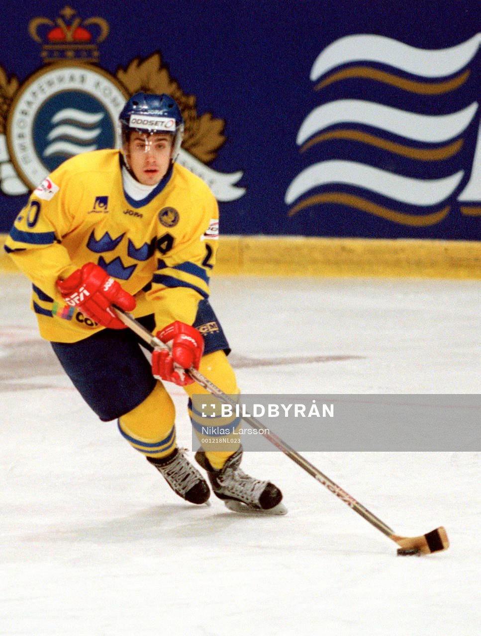 Henrik Zetterberg, Sverige