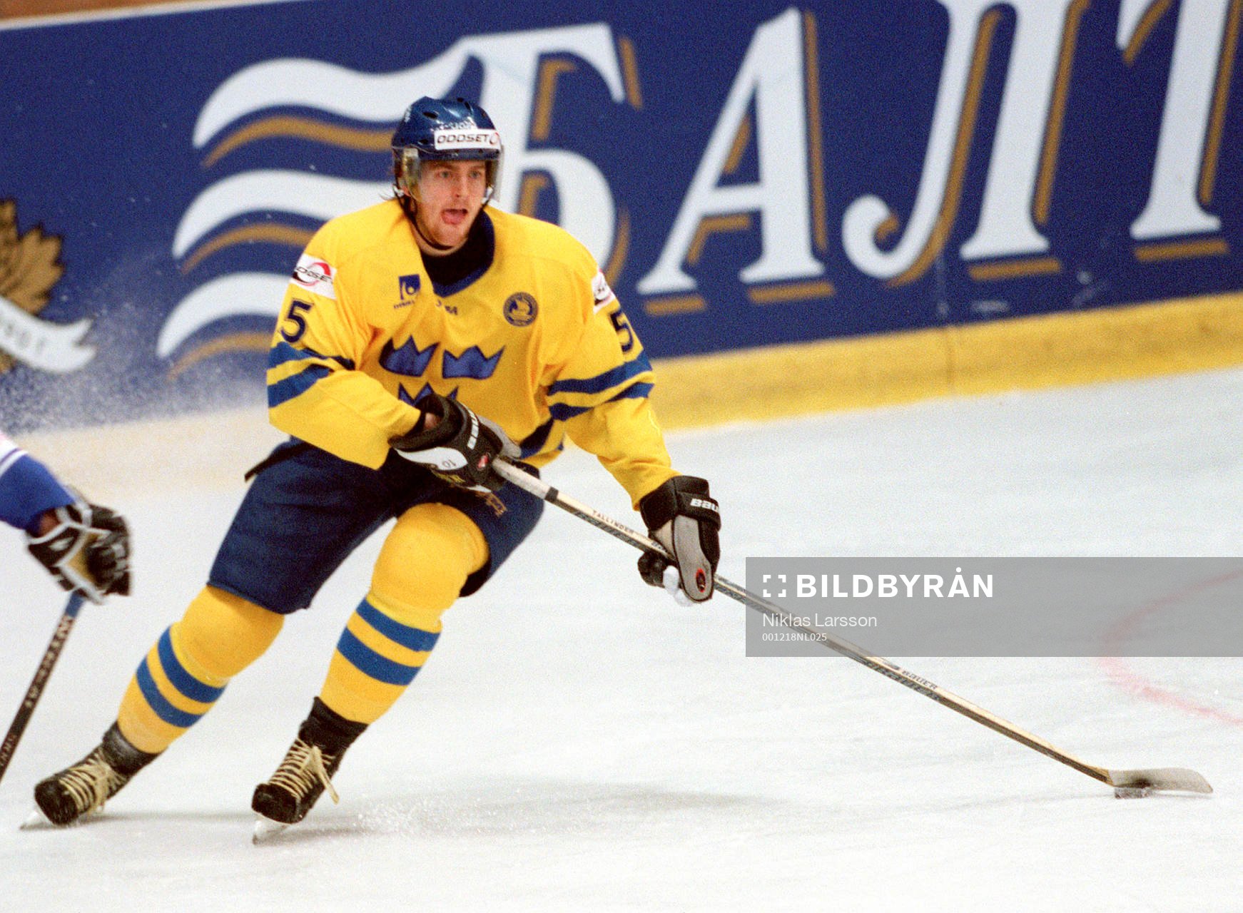 Henrik Tallinder, Sverige