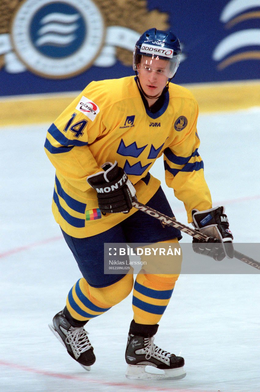Johan Hedström, Sverige