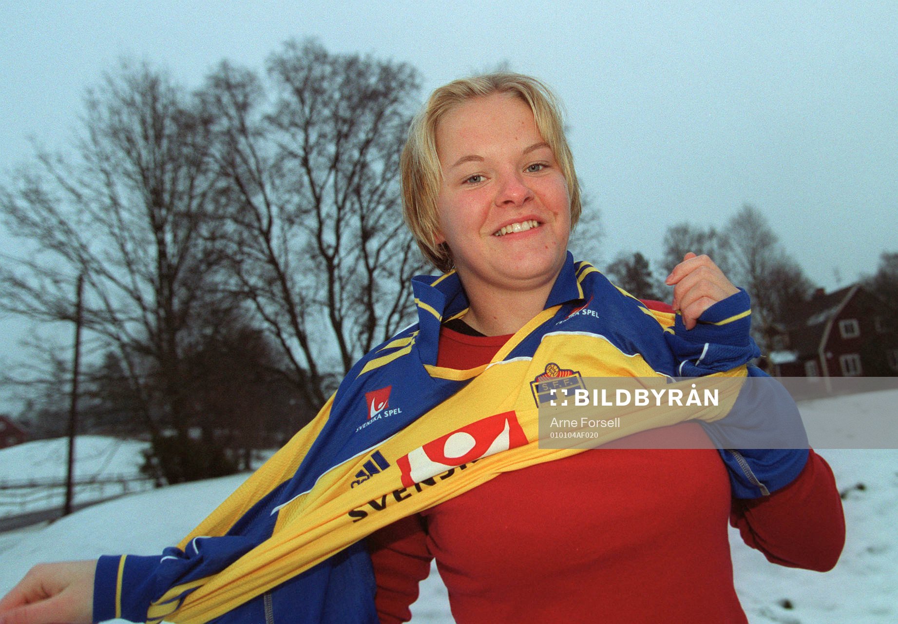 Nilla Fischer, Sverige