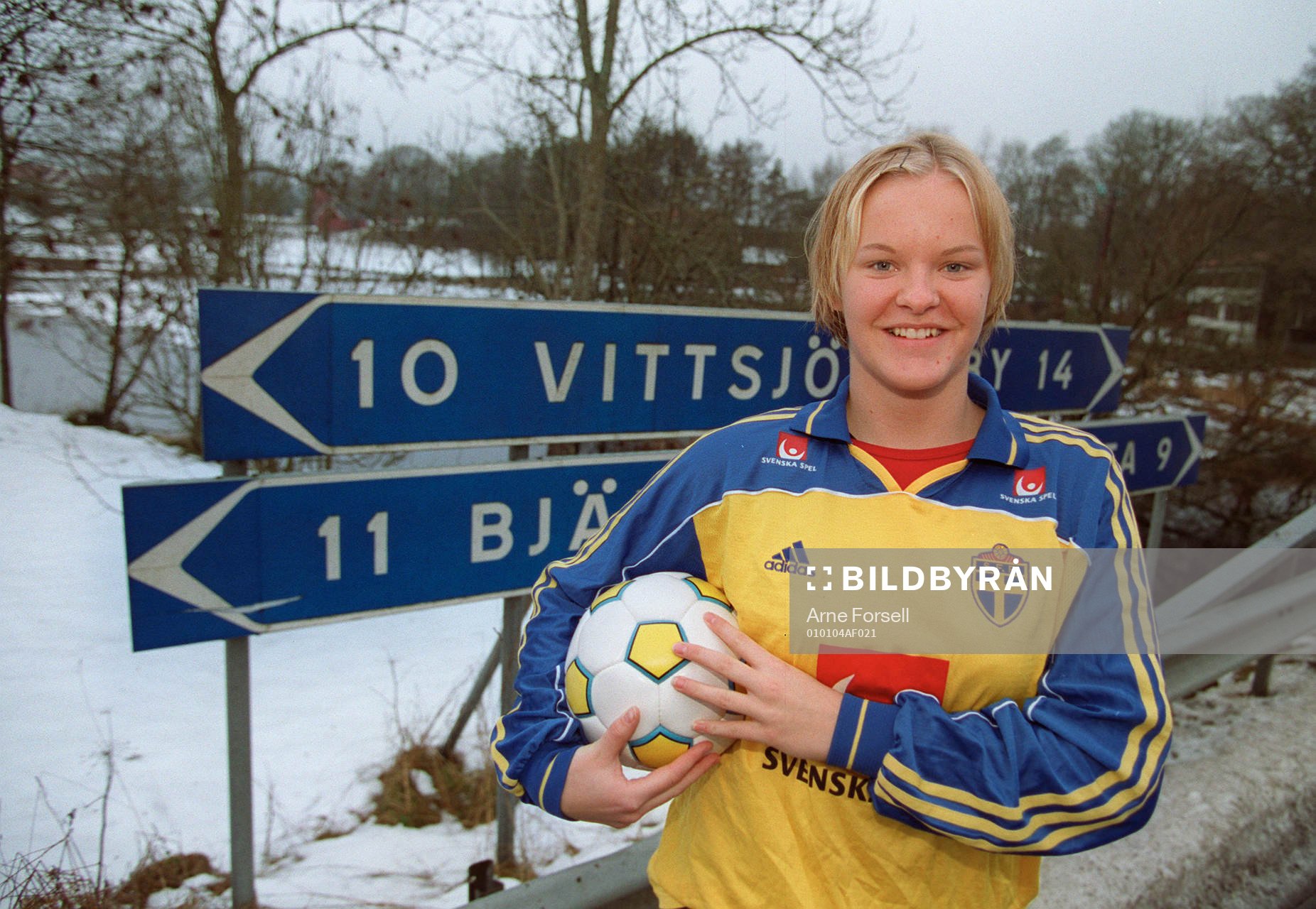 Nilla Fischer, Sverige