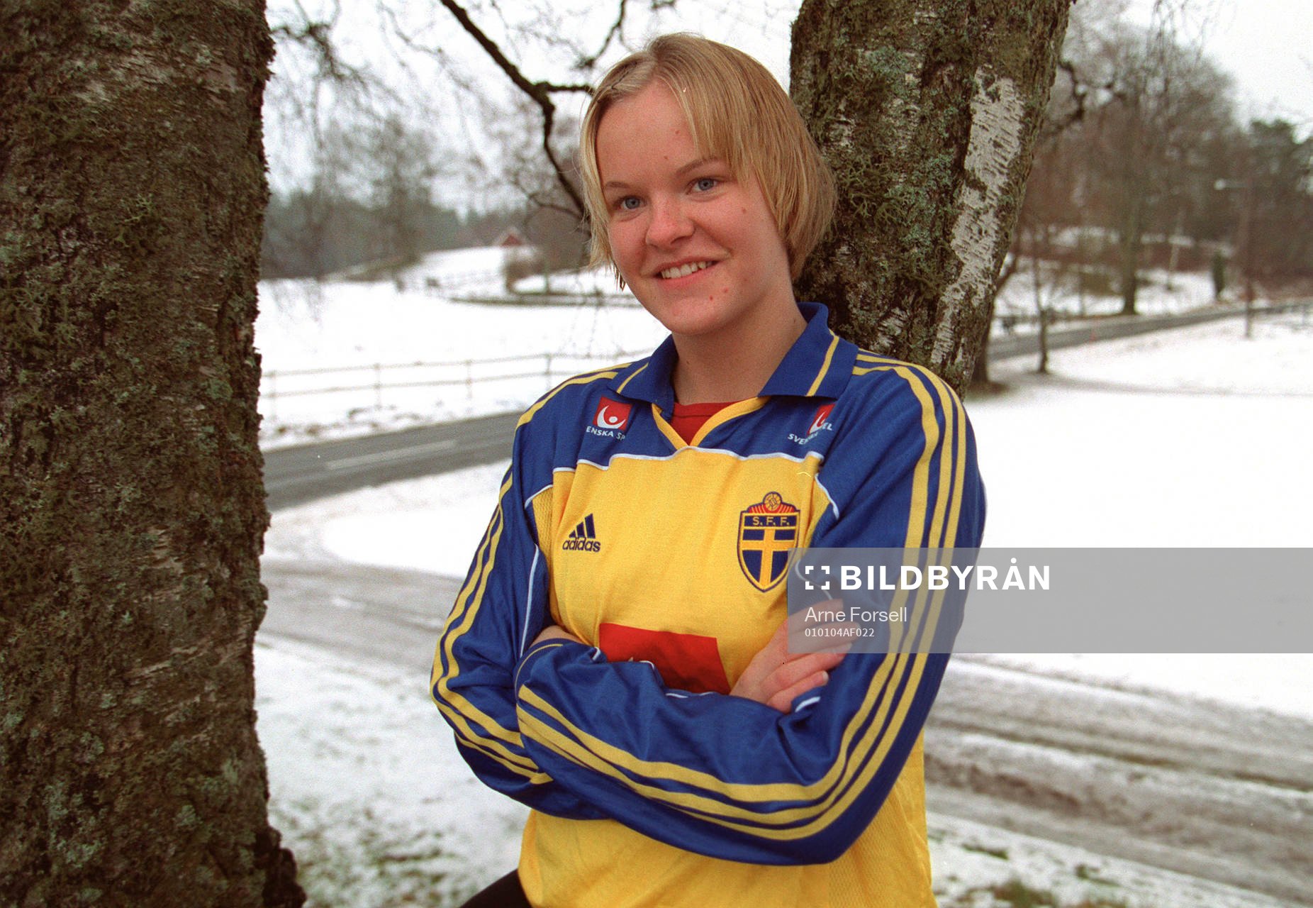 Nilla Fischer, Sverige