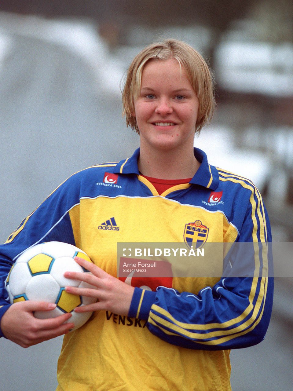 Nilla Fischer, Sverige