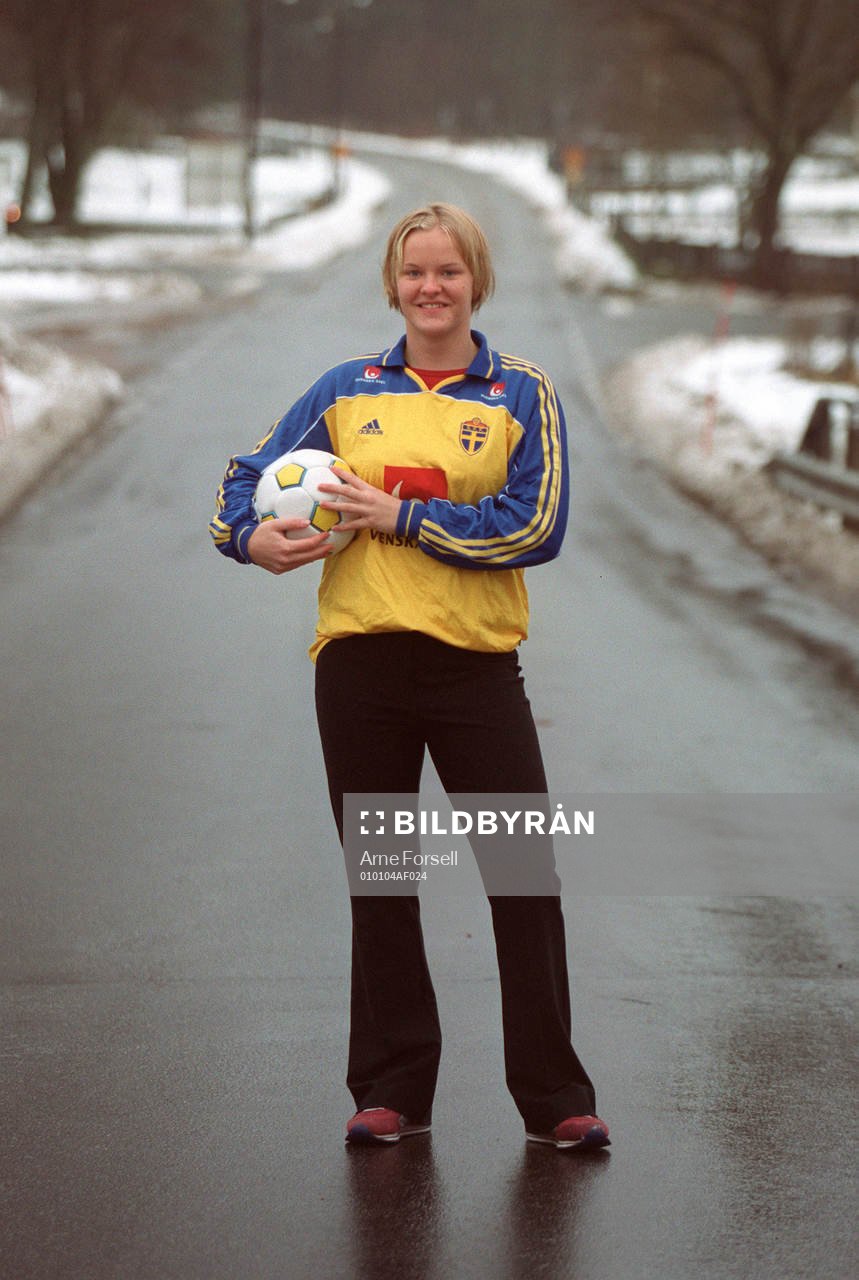 Nilla Fischer, Sverige