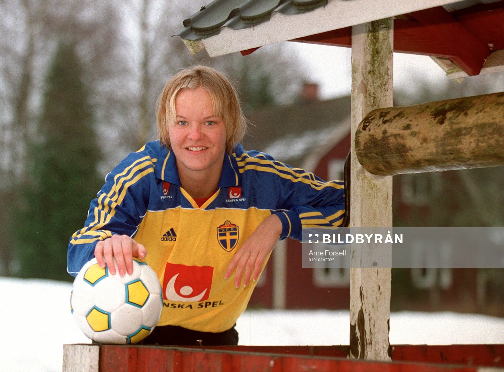 Nilla Fischer, Sverige