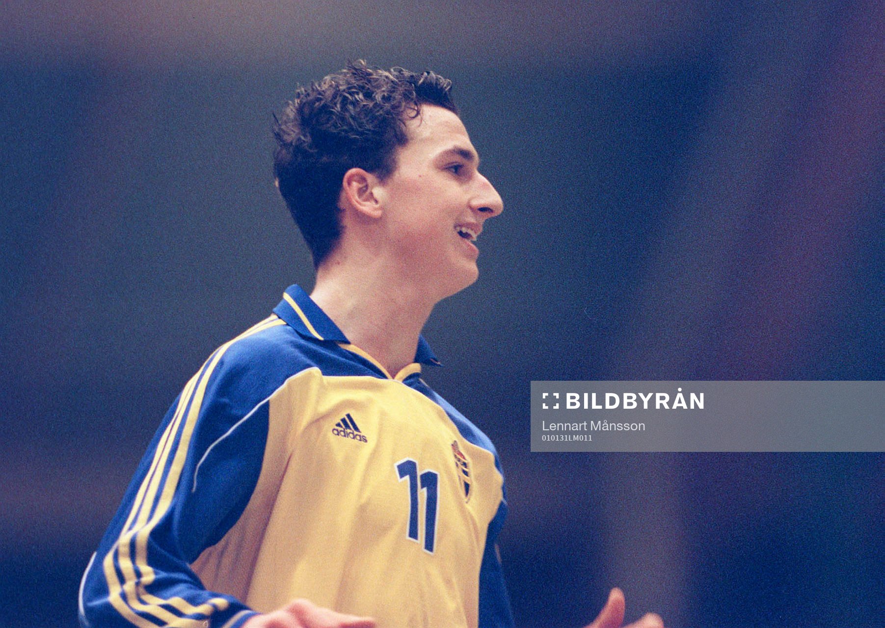 Zlatan Ibrahimovic, Sverige