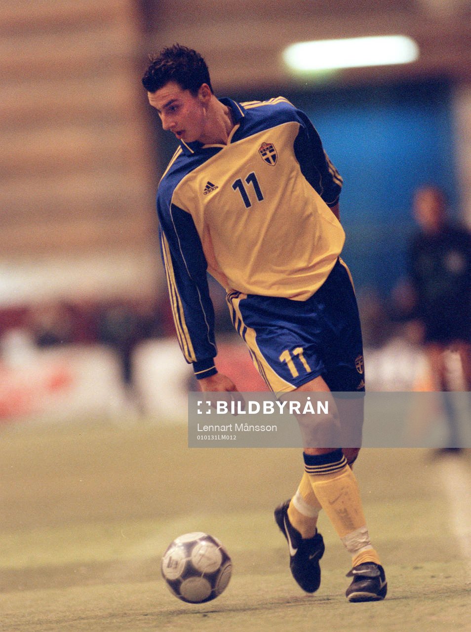 Zlatan Ibrahimovic, Sverige