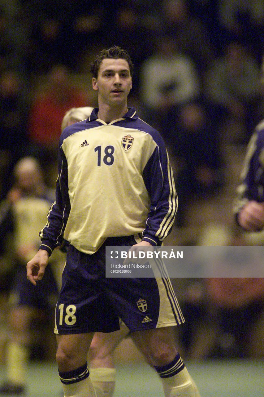 Zlatan Ibrahimovic, Sverige