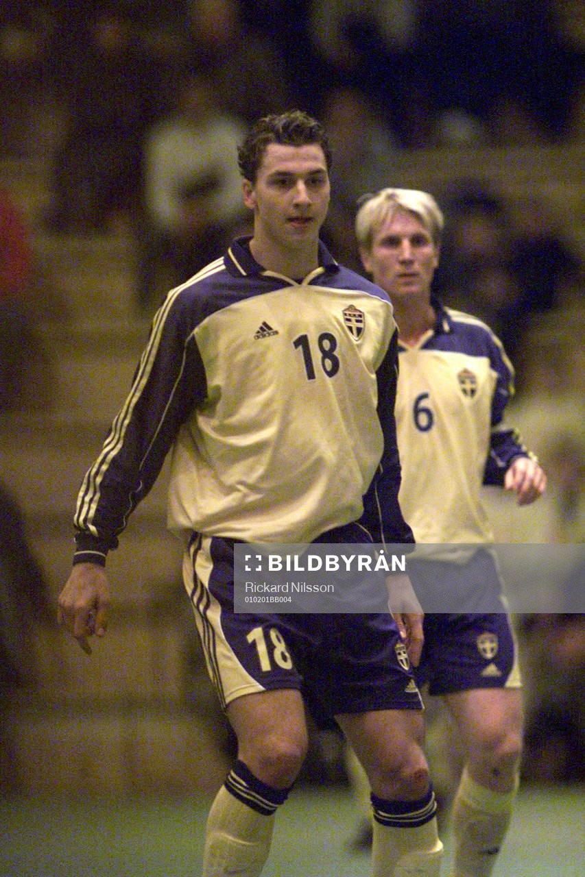 Zlatan Ibrahimovic, Sverige