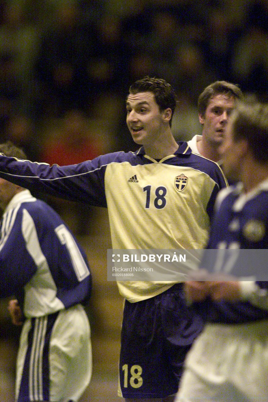 Zlatan Ibrahimovic, Sverige