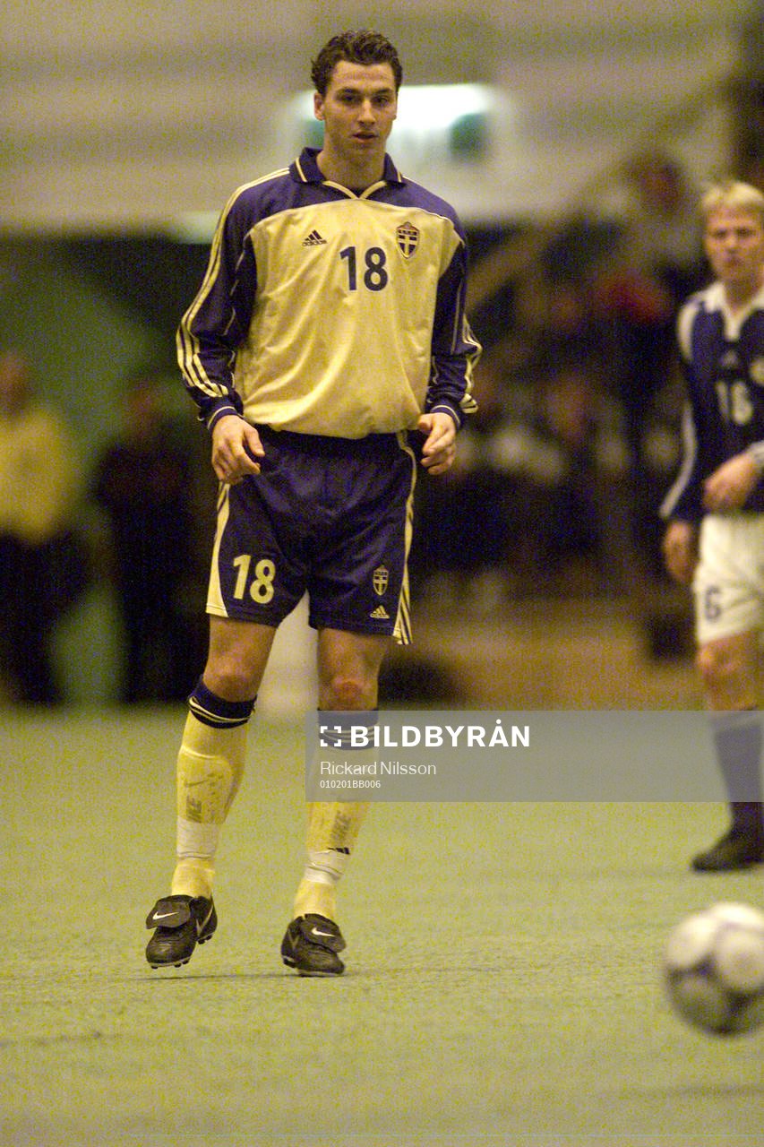 Zlatan Ibrahimovic, Sverige