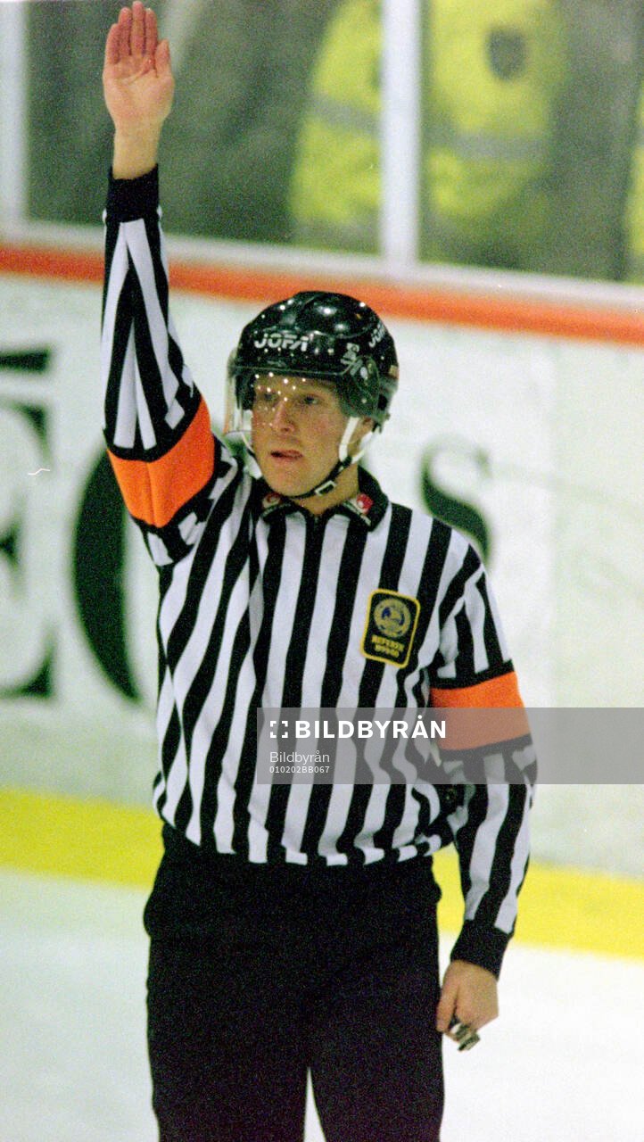 Domare Ulrik Lindh