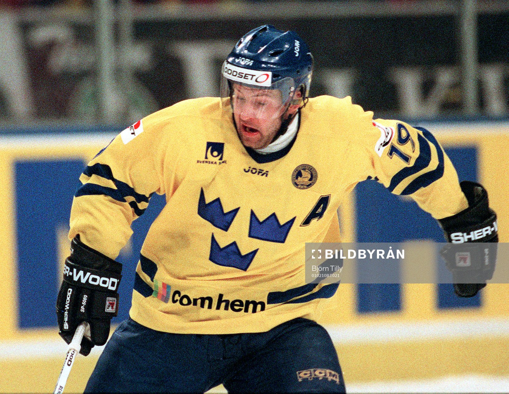 Mikael Renberg, Sverige