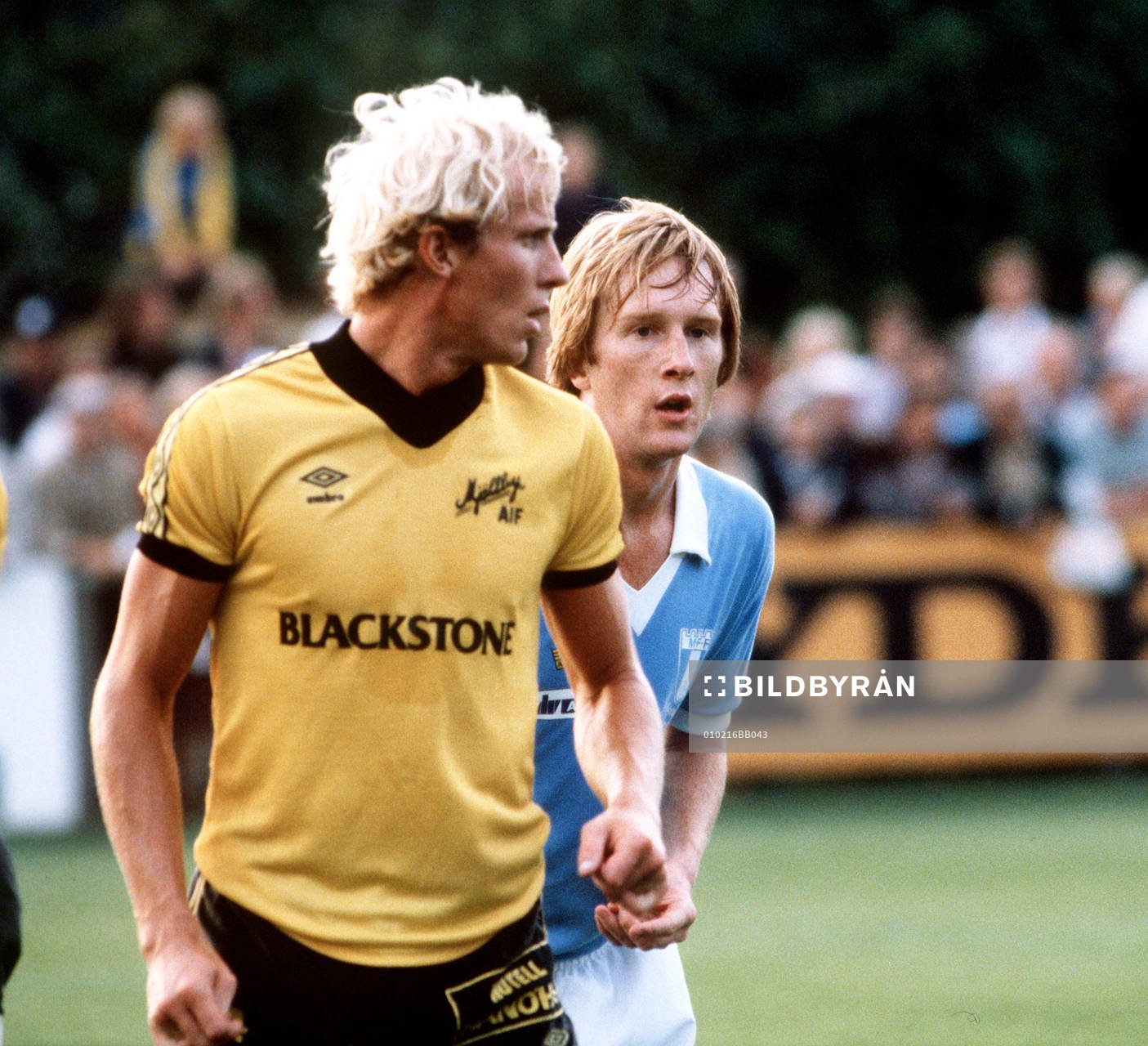 Roy Nylander, Mjällby