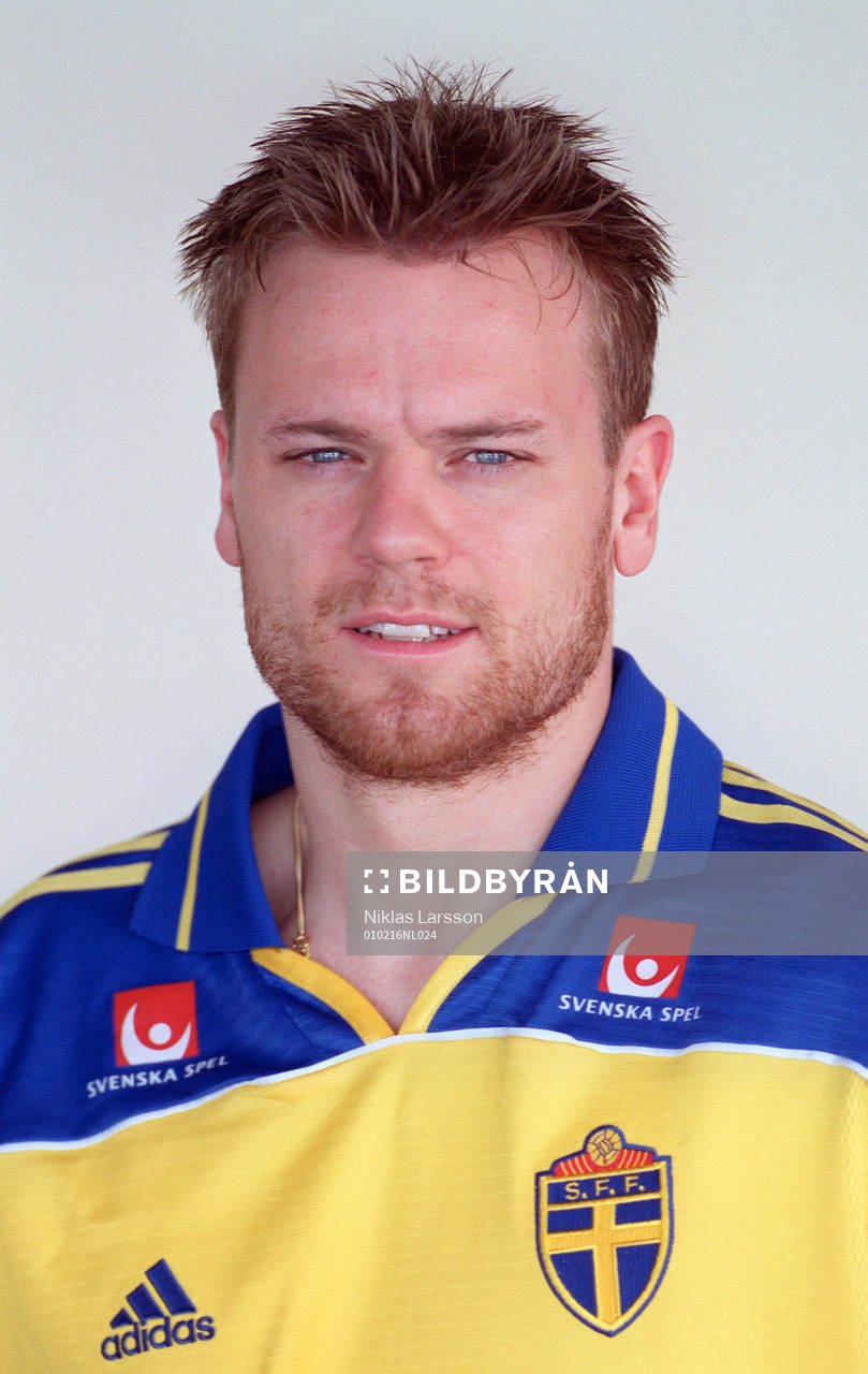 Mattias Jonson, Sverige