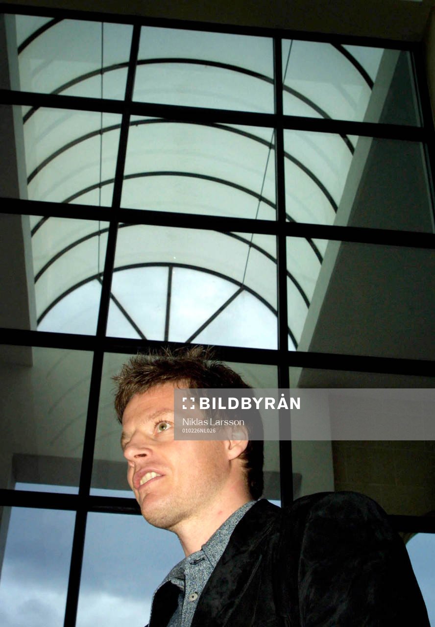 Stefan Schwarz, Sverige