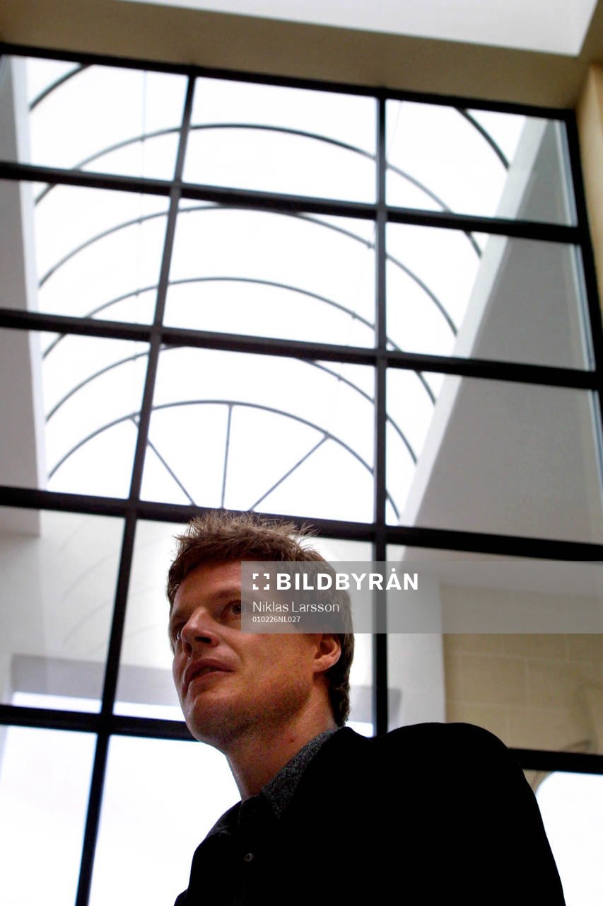 Stefan Schwarz, Sverige