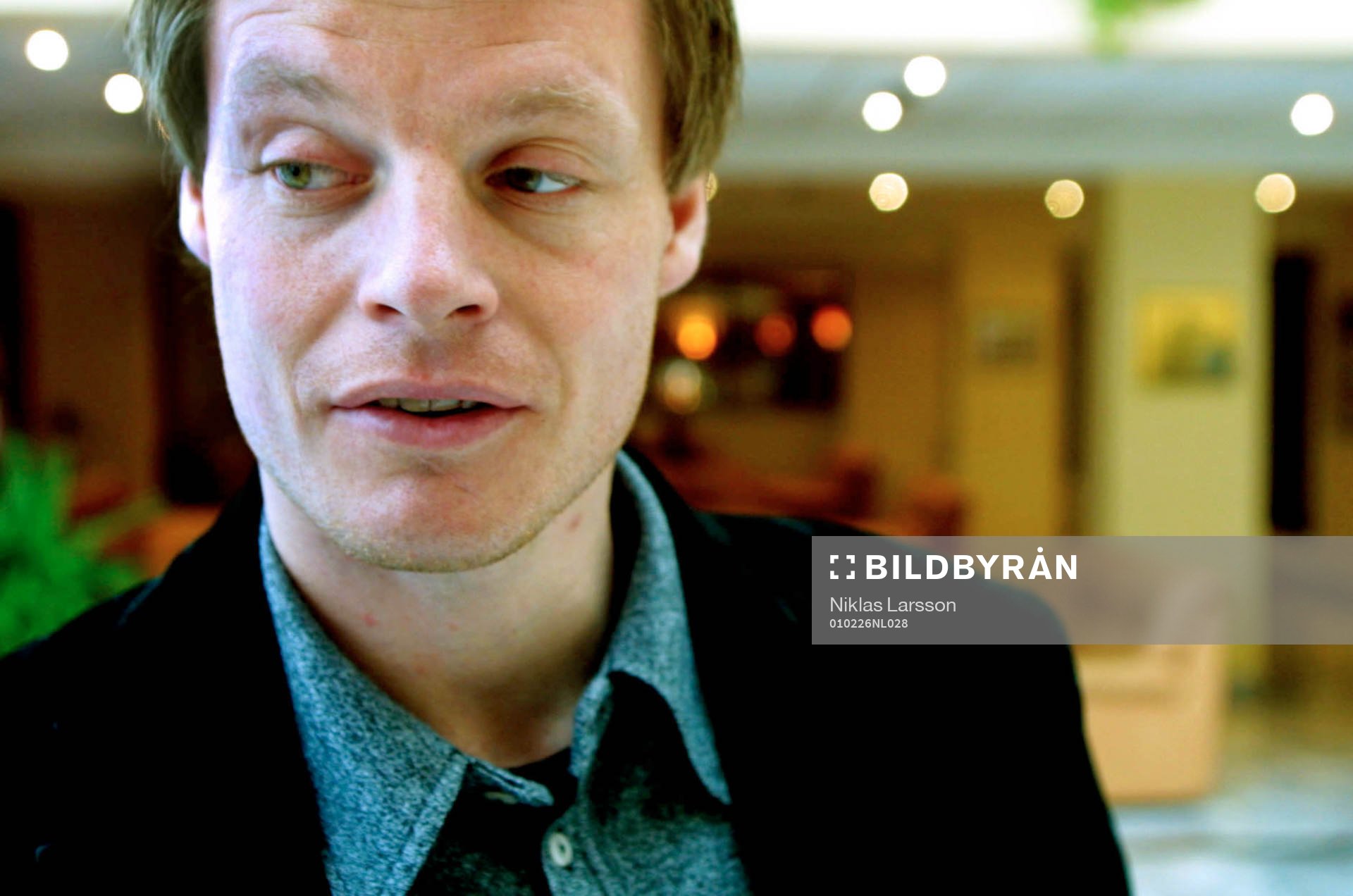 Stefan Schwarz, Sverige