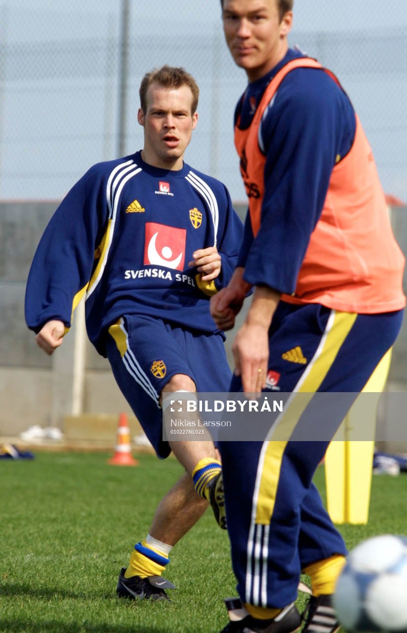 Fredrik Ljungberg och Patrik Andersson, Sverige