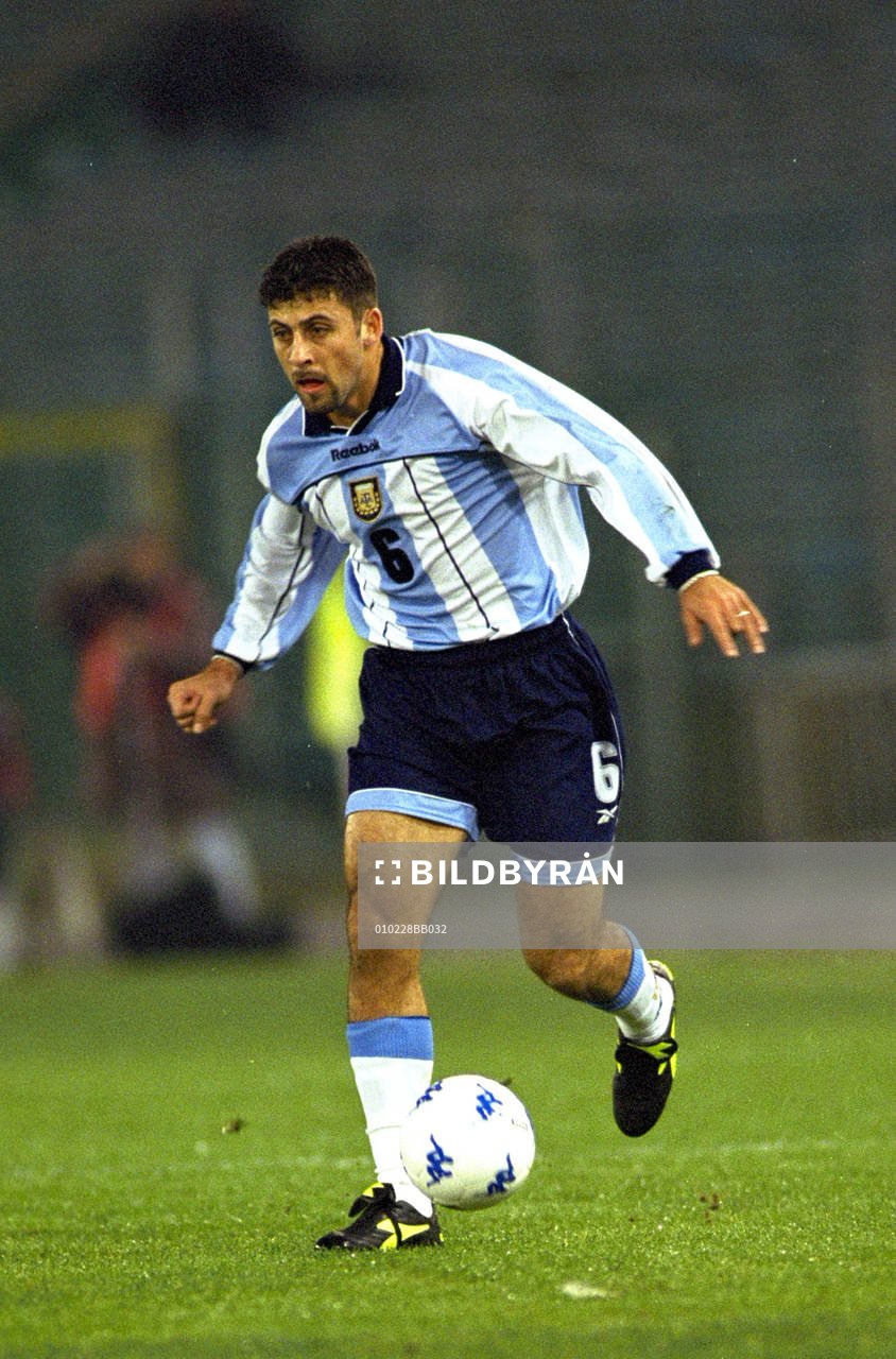 Walter Samuel, Argentina