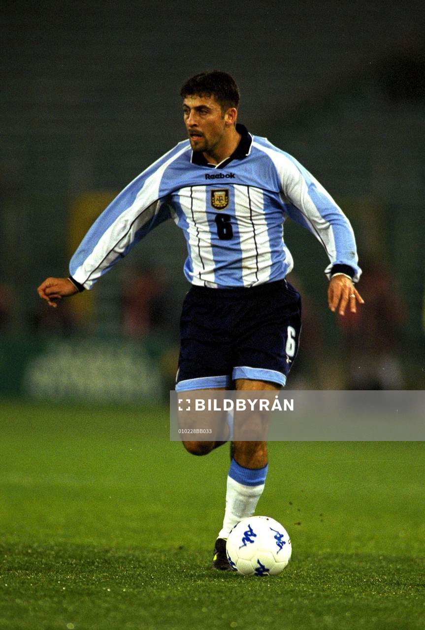 Walter Samuel, Argentina